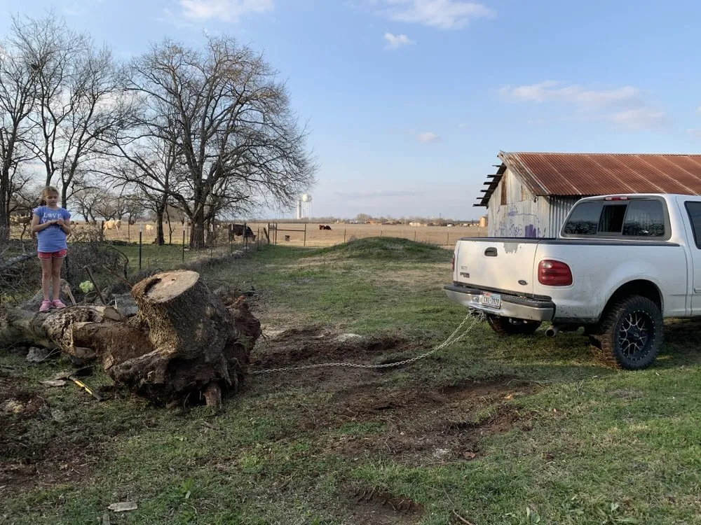Trusted yard cleanup service experts serving Christmas, FL - Tucker Tree & Lawn