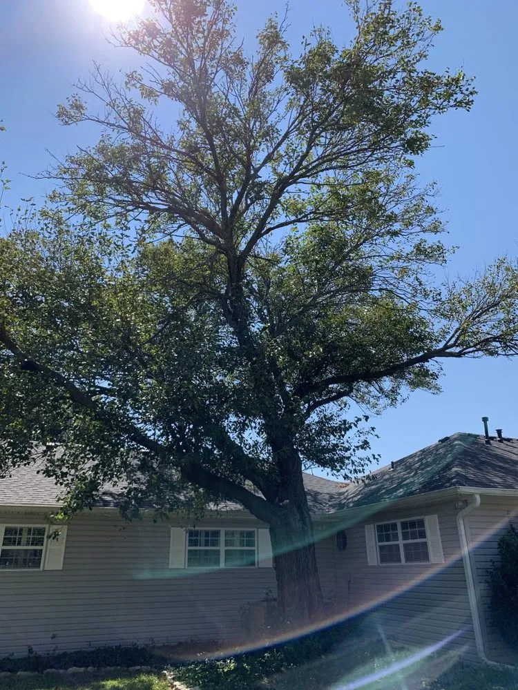 Expert garden landscaping for outdoor upgrades across Christmas, FL - Tucker Tree & Lawn