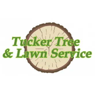 Expert lawn care service in Whitney, TX by Tucker Tree & Lawn Service