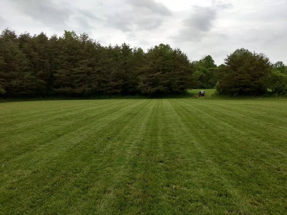 Professional garden landscaping in Windsor, CO - Tucker Turf