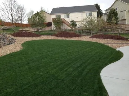 Expert yard maintenance in Windsor, CO by Tucker Turf