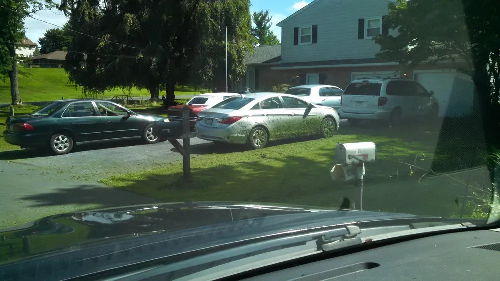 Local landscape installation in Windsor, CO by Tucker Turf