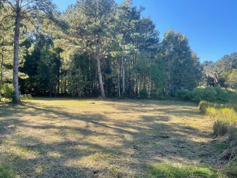 Trusted lawn care service in Tallahassee, FL by Tucker Yard Services