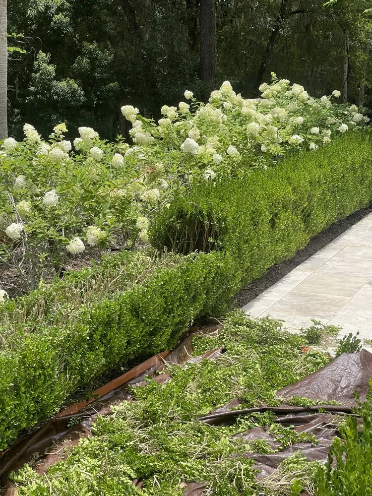 Custom yard cleanup service experts serving Tallahassee, FL - Tucker Yard Services