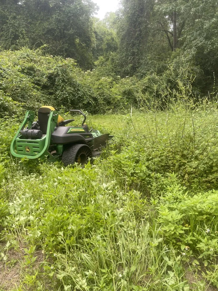 Affordable residential landscaping for outdoor upgrades across Tallahassee, FL - Tucker Yard Services