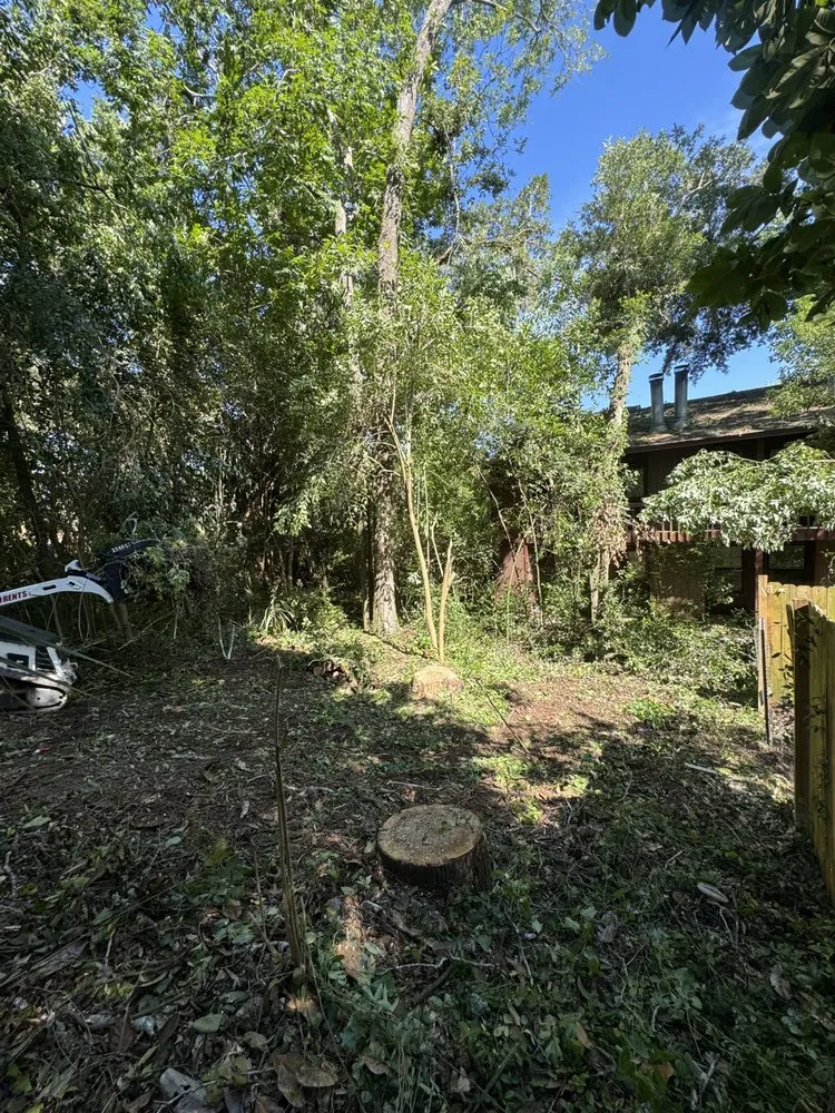 Top-rated outdoor landscaping experts serving Tallahassee, FL - Tucker Yard Services