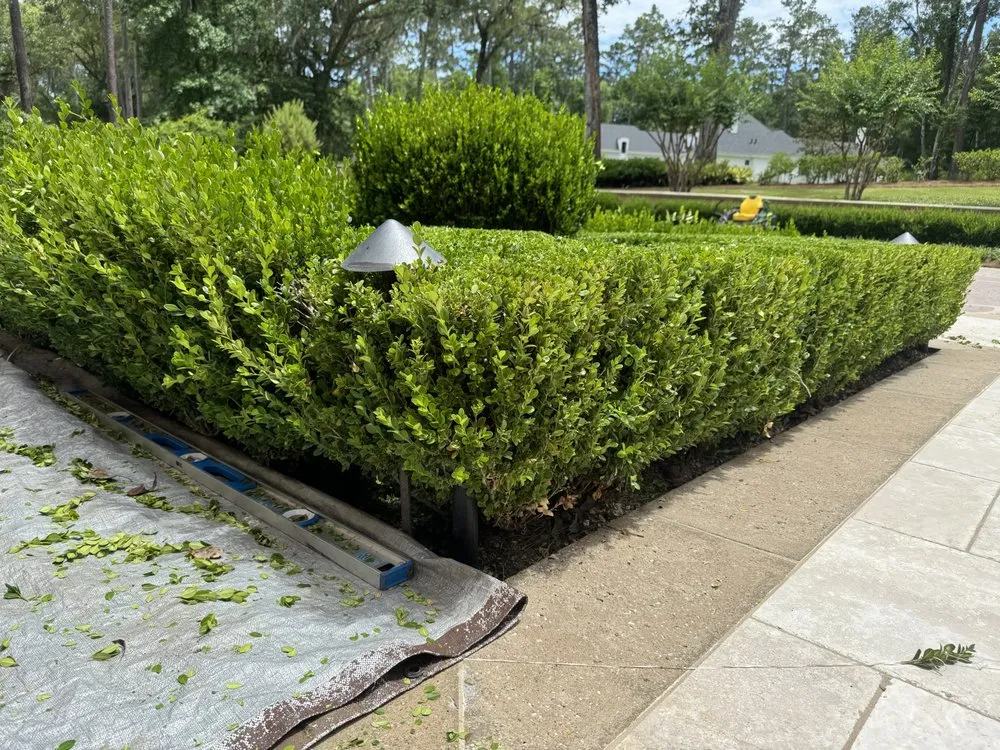 Trusted yard cleanup service in Tallahassee, FL by Tucker Yard Services