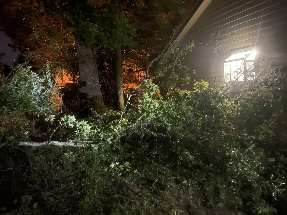 Expert residential landscaping for beautiful yards in Tallahassee, FL by Tucker Yard Services