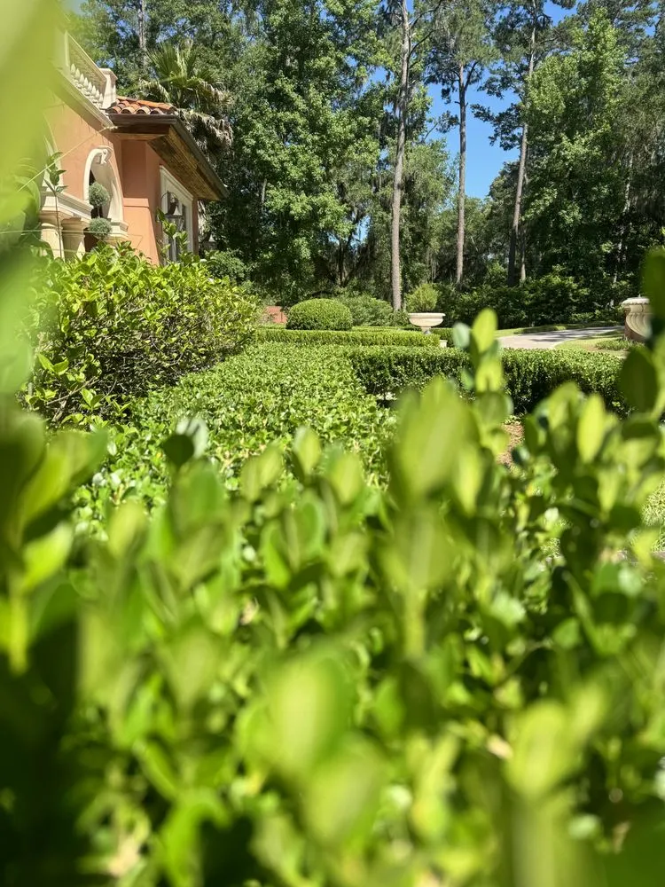 Reliable residential landscaping near you in Tallahassee, FL by Tucker Yard Services