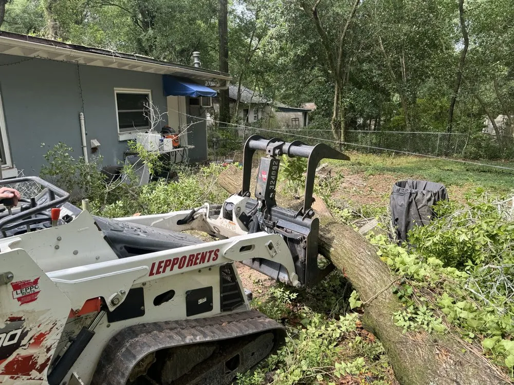 Local yard maintenance for year-round maintenance in Tallahassee, FL by Tucker Yard Services