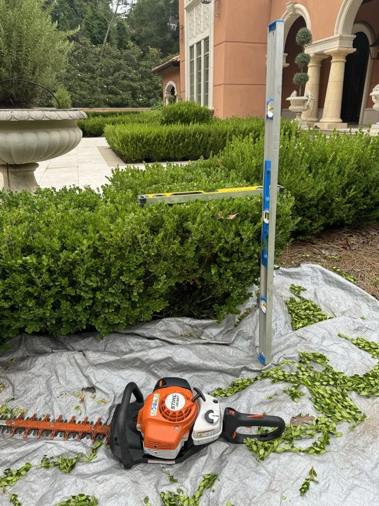 Expert yard cleanup service experts serving Tallahassee, FL - Tucker Yard Services