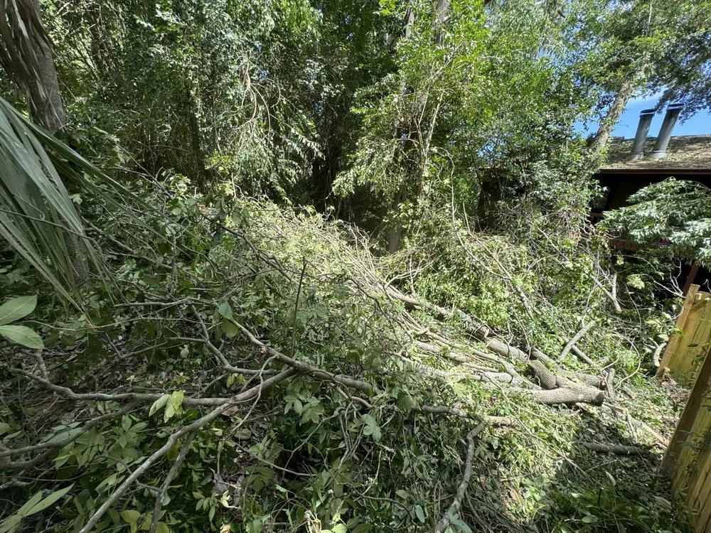 Top-rated garden landscaping for homes in Tallahassee, FL by Tucker Yard Services