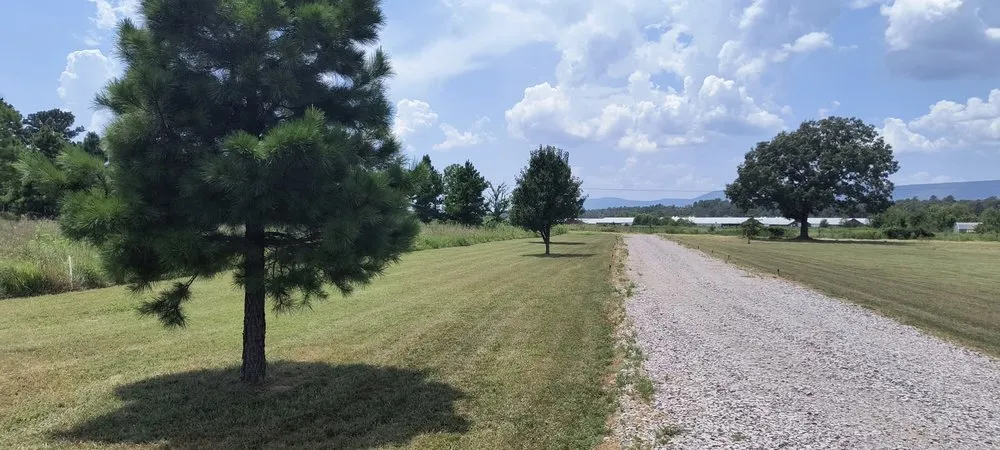 Trusted yard cleanup service for year-round maintenance across Mansfield, AR - Tucker's Clean-Up And Handyman Services