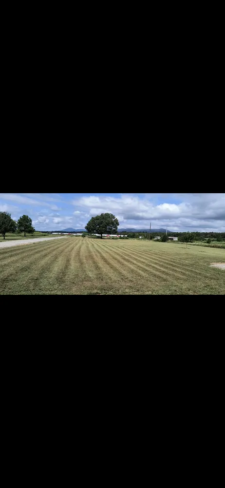 Reliable yard cleanup service experts serving Mansfield, AR - Tucker's Clean-Up And Handyman Services