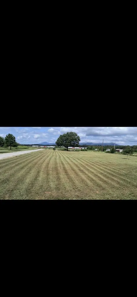 Expert lawn care service experts serving Mansfield, AR - Tucker's Clean-Up And Handyman Services