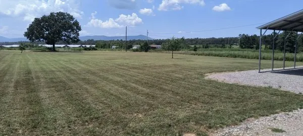 Tucker's Clean-Up And Handyman Services