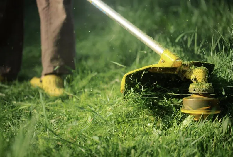 Trusted landscaping services in Leon, WV by Tucker's General Maintenance