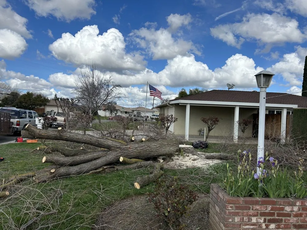 Professional garden landscaping in Fresno, CA by Tucker's Landscape & Tree