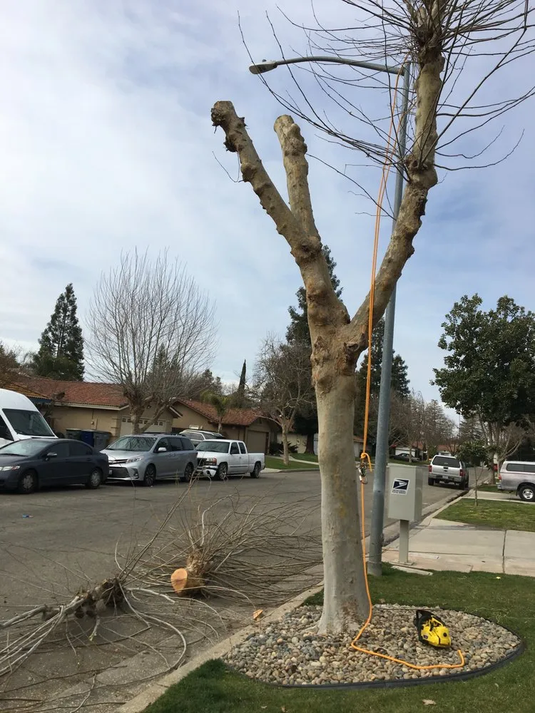 Custom landscaping services for outdoor upgrades in Fresno, CA by Tucker's Landscape & Tree