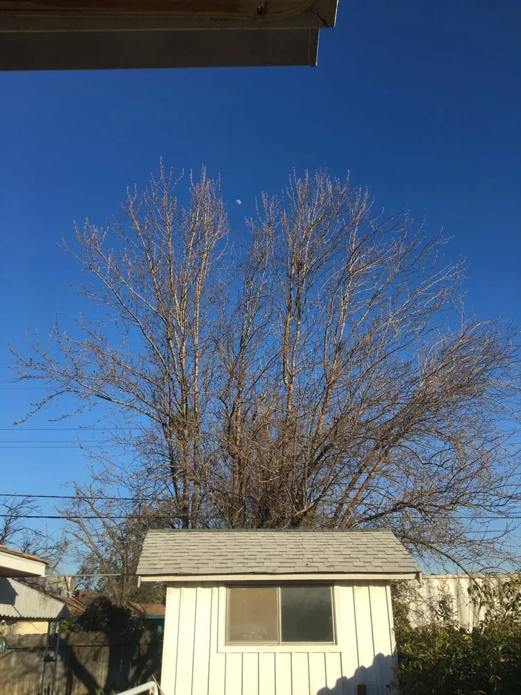 Affordable lawn care service for homes across Fresno, CA - Tucker's Landscape & Tree