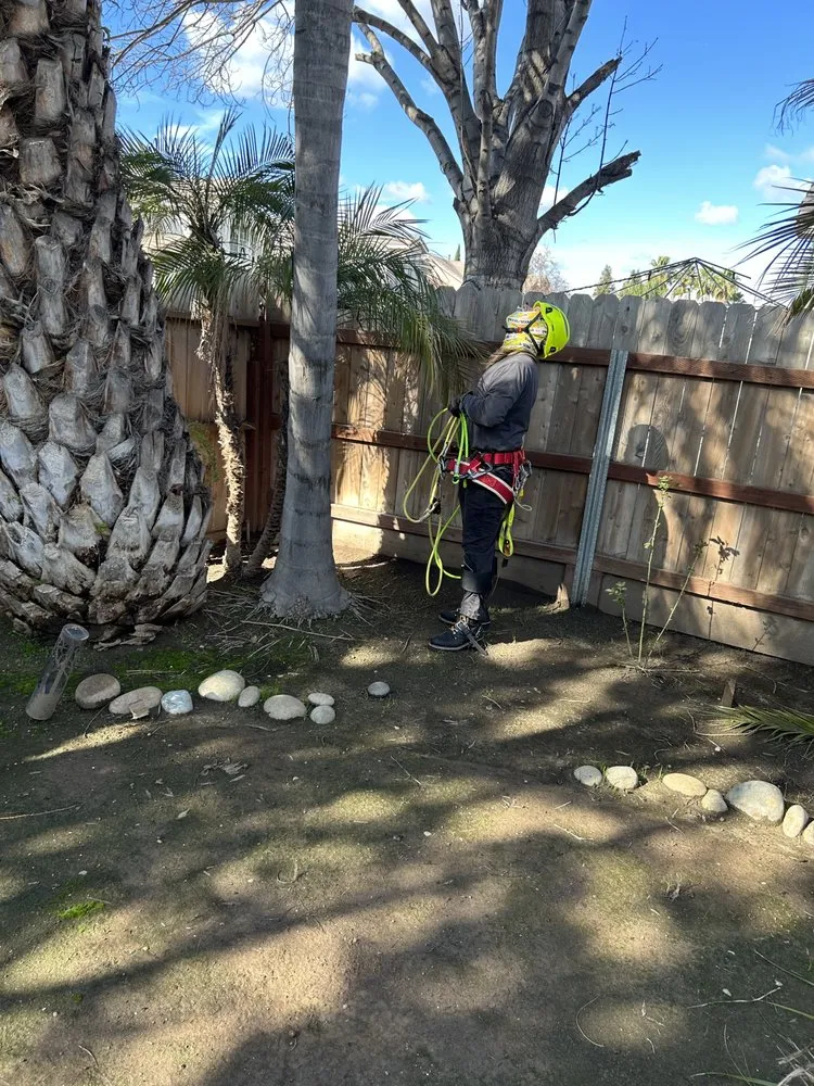 Custom garden landscaping in Fresno, CA - Tucker's Landscape & Tree