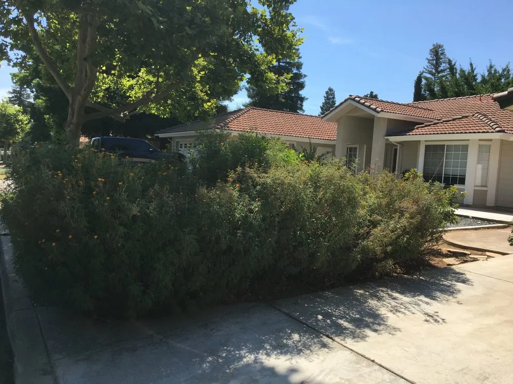 Expert residential landscaping for beautiful yards in Fresno, CA by Tucker's Landscape & Tree