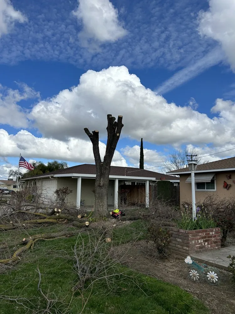 Professional yard maintenance in Fresno, CA by Tucker's Landscape & Tree