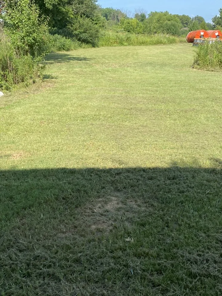 Reliable yard maintenance near you across Nashville, AR - Tucker’s lawn and land management