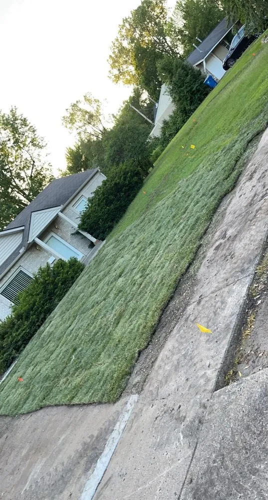 Affordable lawn care service experts serving Saint Paul Park, MN - Tucker's Lawn Care