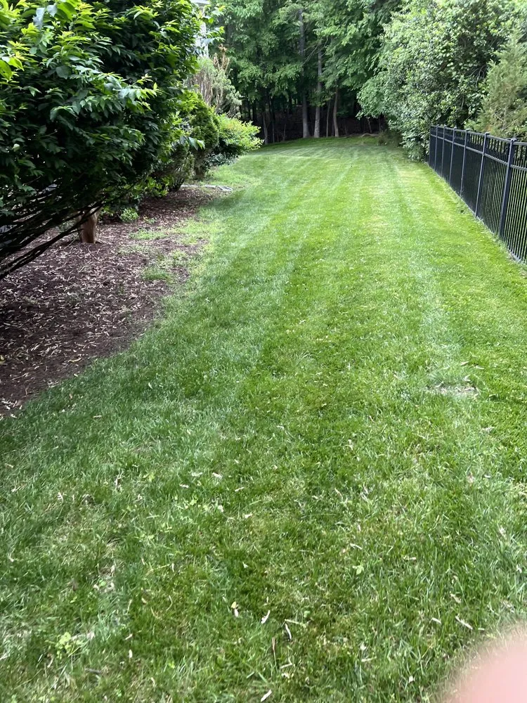 Reliable landscape installation experts serving Chesterfield, VA - Tucker's Lawncare Services