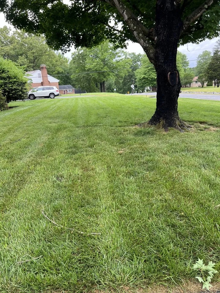 Reliable landscape design in Chesterfield, VA - Tucker's Lawncare Services