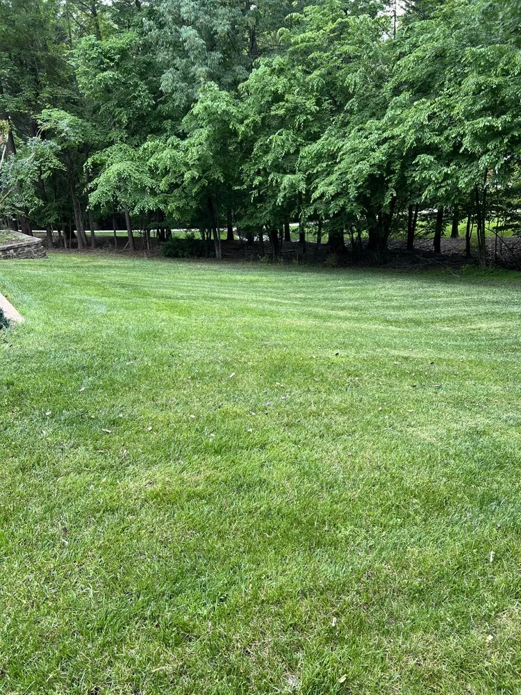 Expert residential landscaping in Chesterfield, VA - Tucker's Lawncare Services
