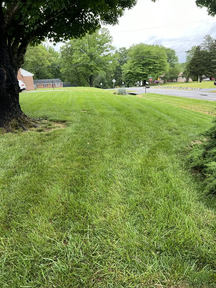 Top-rated landscape installation experts serving Chesterfield, VA - Tucker's Lawncare Services