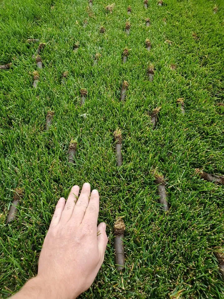 Local outdoor landscaping for year-round maintenance in Dike, IA by Tuck’s Lawn and Snow Services