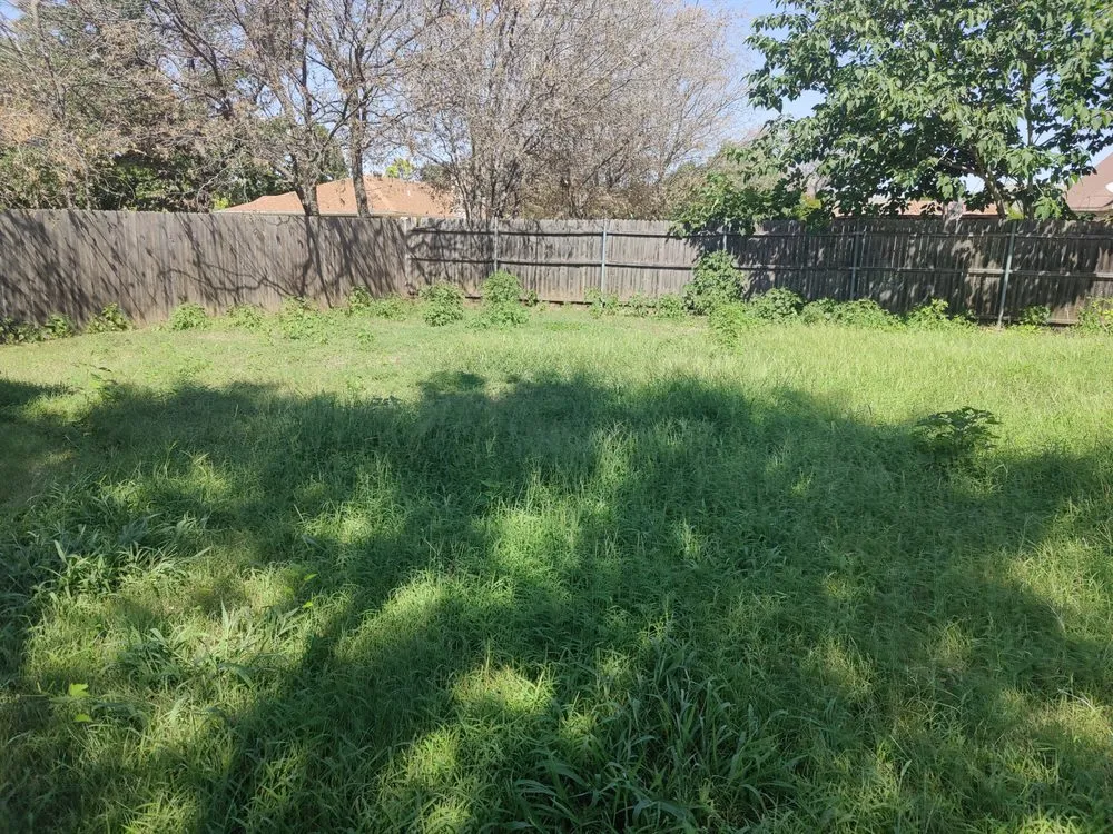 Custom garden landscaping for beautiful yards in Fort Worth, TX by Tuck's Lawn Care