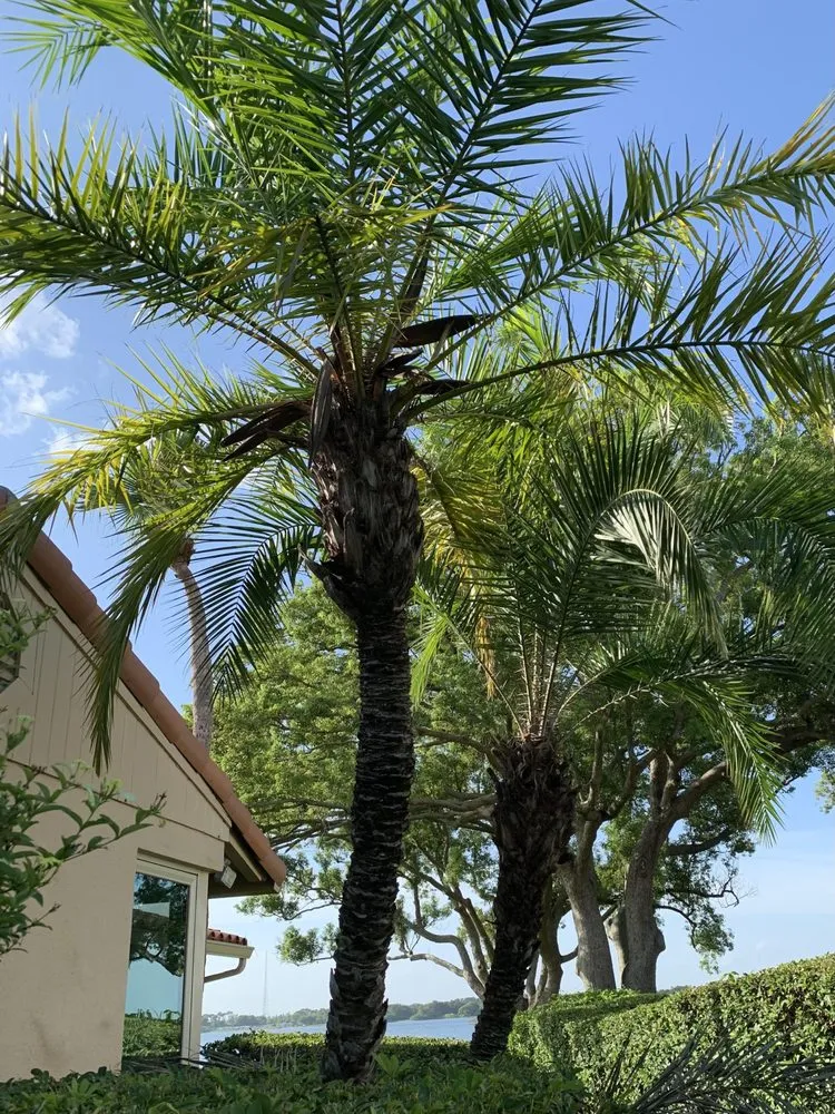 Professional garden landscaping in Merritt Island, FL - Tuck's Tree & Landscaping