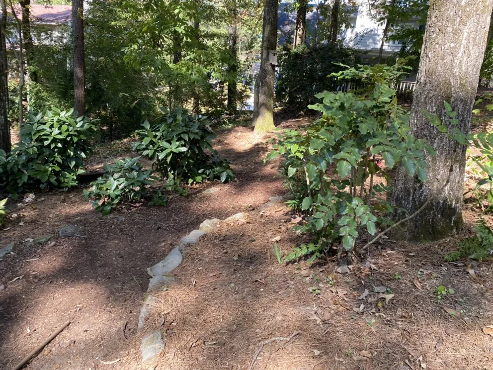 Affordable outdoor landscaping in Remlap, AL - Tucán Landscaping & Lawn Care