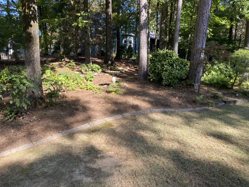 Reliable residential landscaping in Remlap, AL - Tucán Landscaping & Lawn Care