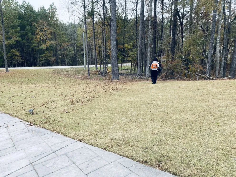 Expert garden landscaping in Remlap, AL by Tucán Landscaping & Lawn Care