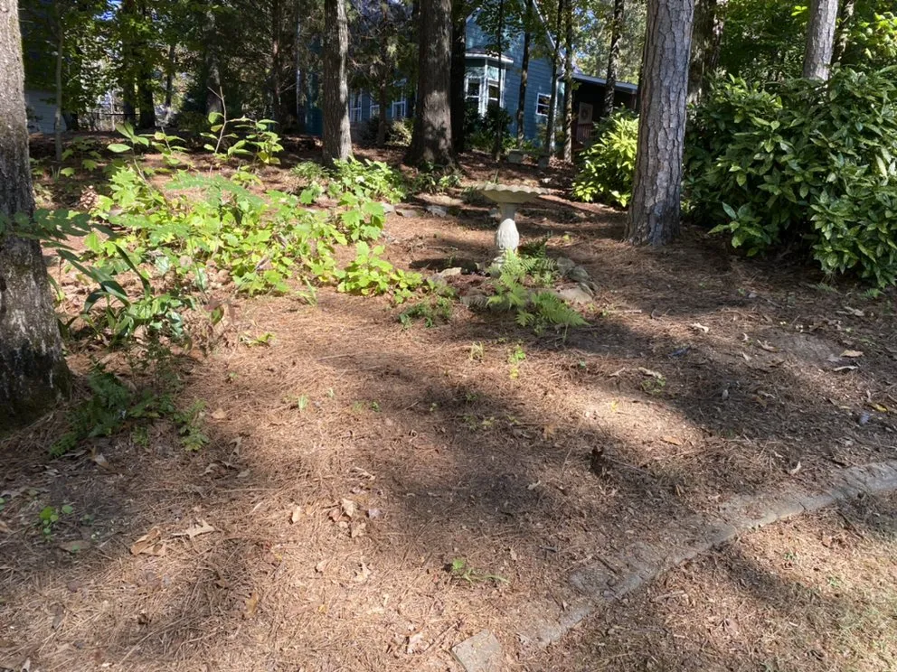 Affordable lawn care service for homes in Remlap, AL by Tucán Landscaping & Lawn Care