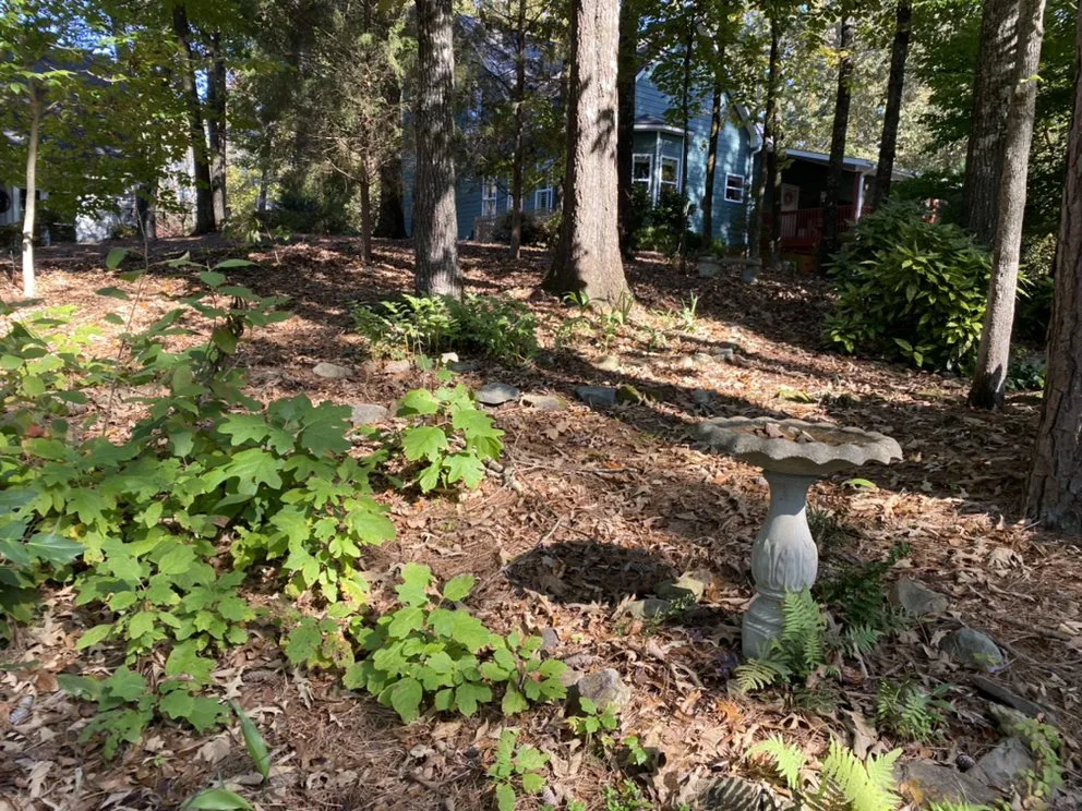 Reliable lawn care service for residential properties across Remlap, AL - Tucán Landscaping & Lawn Care