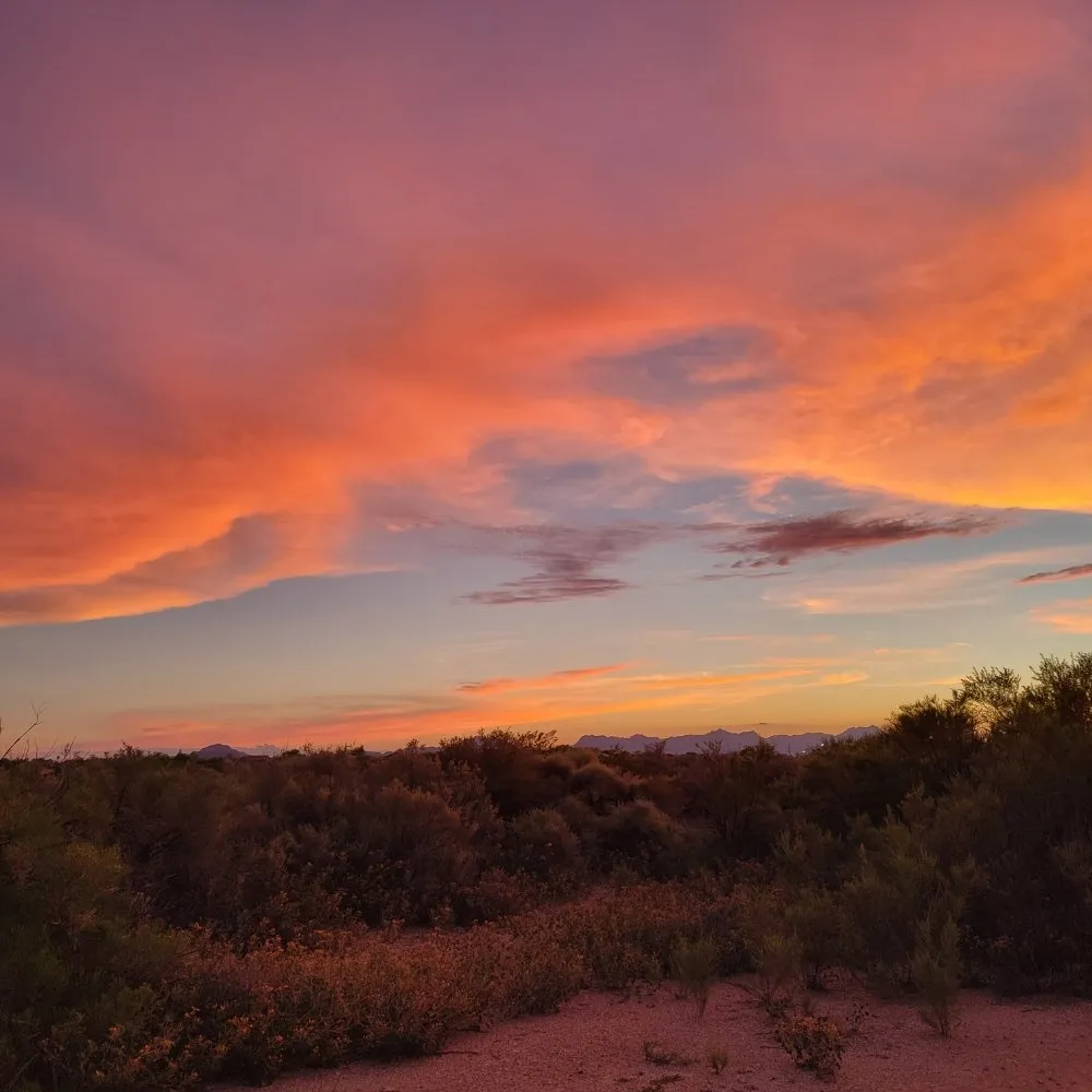 Professional lawn mowing service for beautiful yards across Tucson, AZ - Tucson Arborists Professional Services