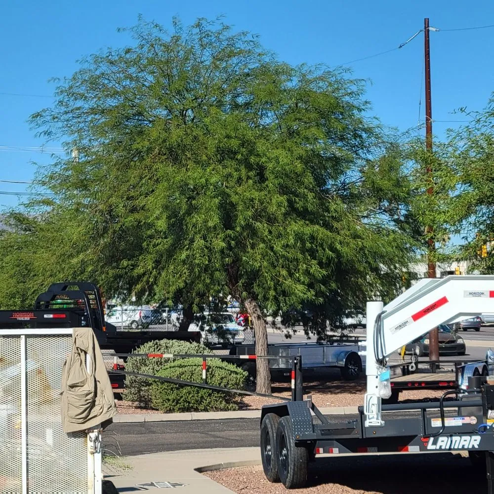 Professional lawn mowing service in Tucson, AZ by Tucson Arborists Professional Services