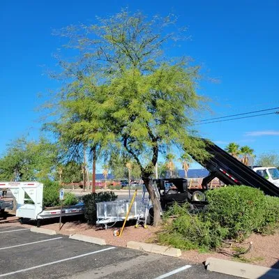 Tucson Arborists Professional Services Logo