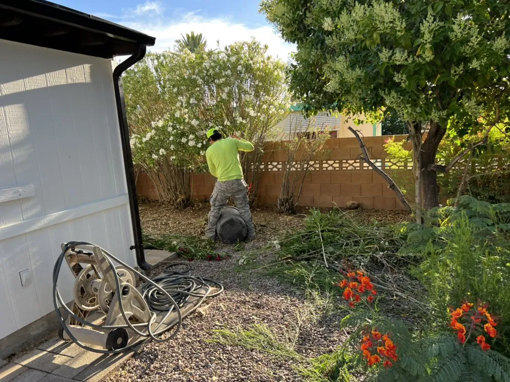 Trusted residential landscaping in Tucson, AZ by Tucson Eagle