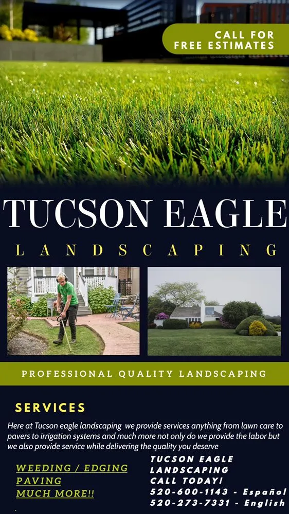Custom yard maintenance near you across Tucson, AZ - Tucson Eagle