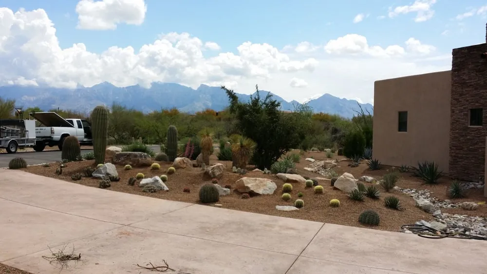 Custom yard maintenance in Tucson, AZ - Tucson Landscape Company