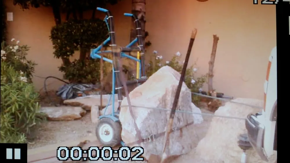 Expert yard cleanup service experts serving Tucson, AZ - Tucson Landscape Company