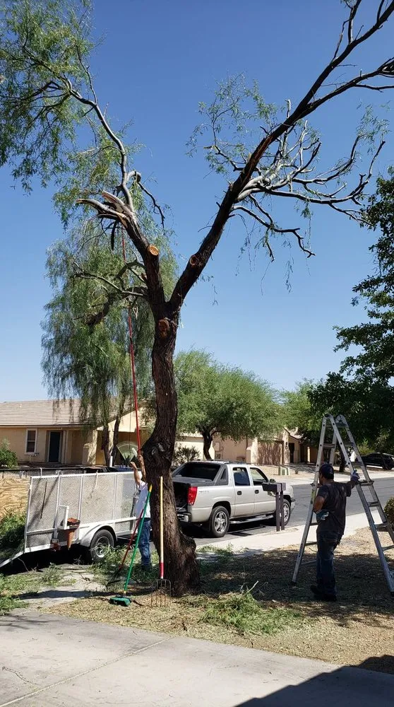 Top-rated residential landscaping experts serving Tucson, AZ - Tucson Landscape Company