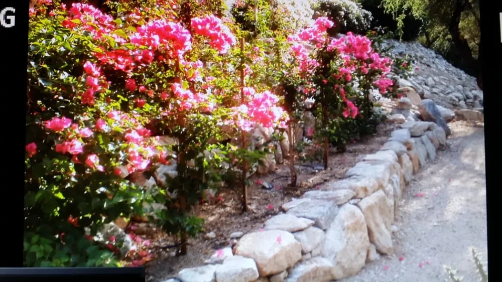 Custom lawn mowing service in Tucson, AZ - Tucson Landscape Company